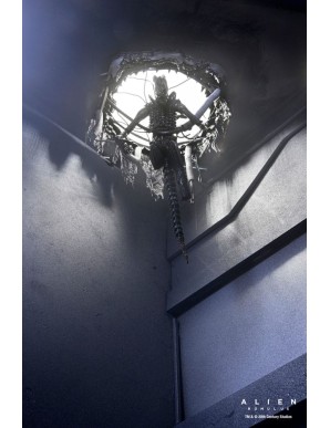 Neca Alien Romulus Suspended Lab Xenomorph XX121 Deluxe