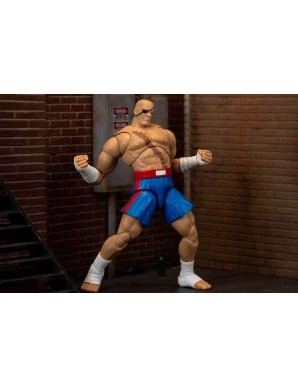 Jada Ultra Street Fighter II The Final Challengers Sagat
