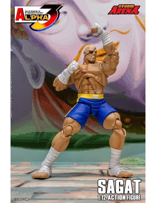Storm Collectibles Storm Arena Street Fighter Alpha 3 Sagat