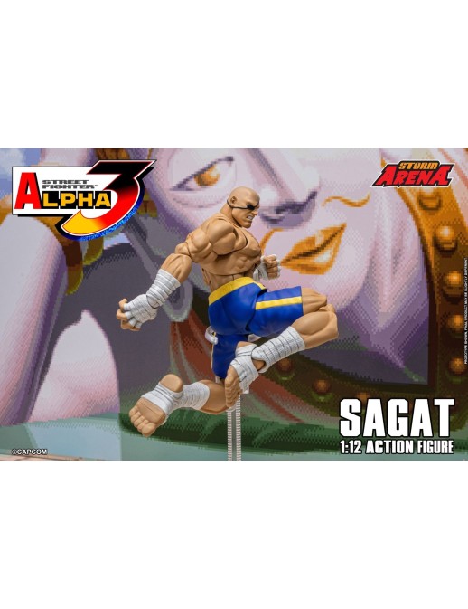 Storm Collectibles Storm Arena Street Fighter Alpha 3 Sagat