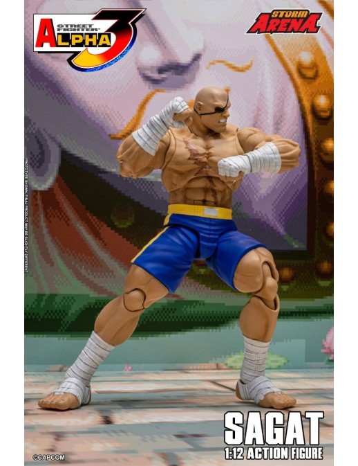 Storm Collectibles Storm Arena Street Fighter Alpha 3 Sagat