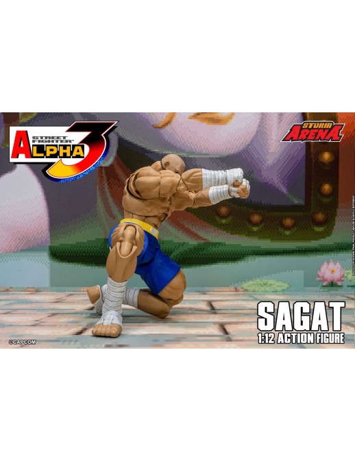 Storm Collectibles Storm Arena Street Fighter Alpha 3 Sagat