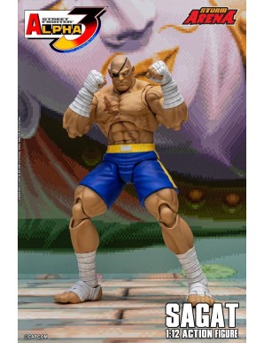 Storm Collectibles Storm Arena Street Fighter Alpha 3 Sagat