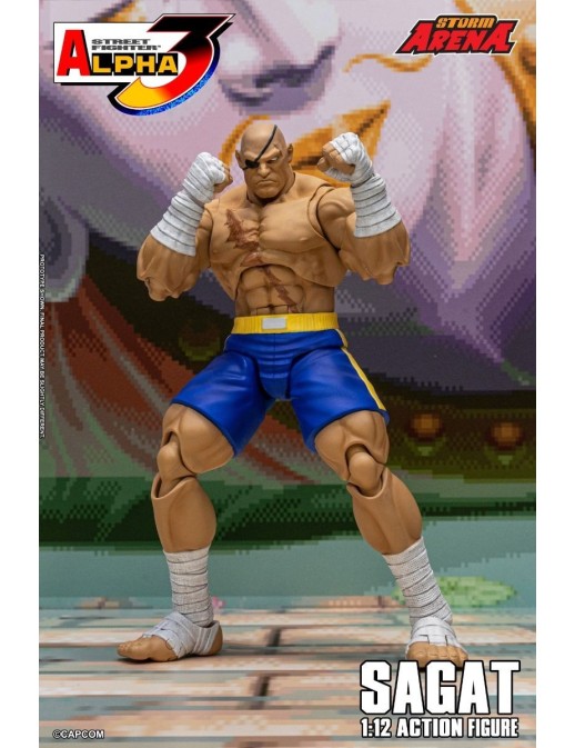 Storm Collectibles Storm Arena Street Fighter Alpha 3 Sagat