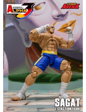 Storm Collectibles Storm Arena Street Fighter Alpha 3 Sagat