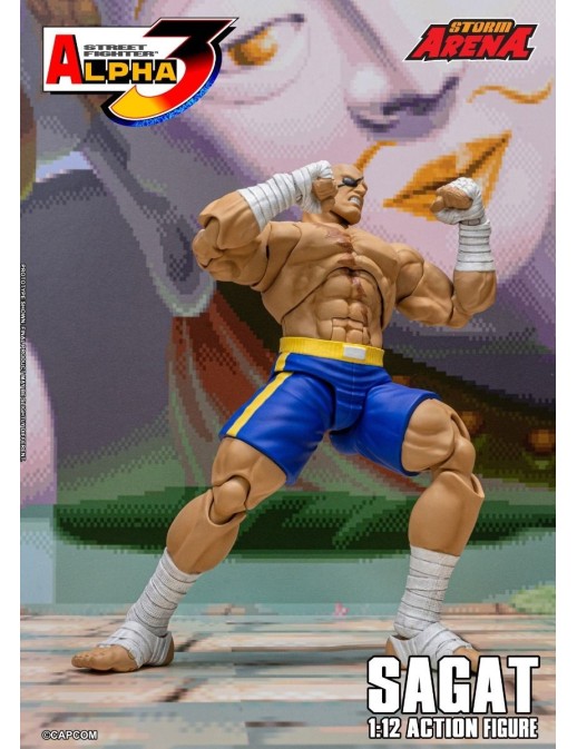 Storm Collectibles Storm Arena Street Fighter Alpha 3 Sagat