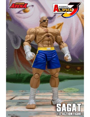 Storm Collectibles Storm Arena Street Fighter Alpha 3 Sagat