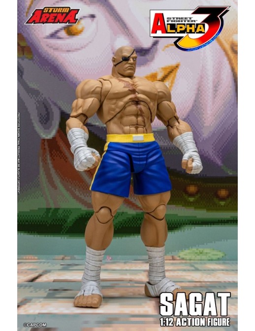 Storm Collectibles Storm Arena Street Fighter Alpha 3 Sagat