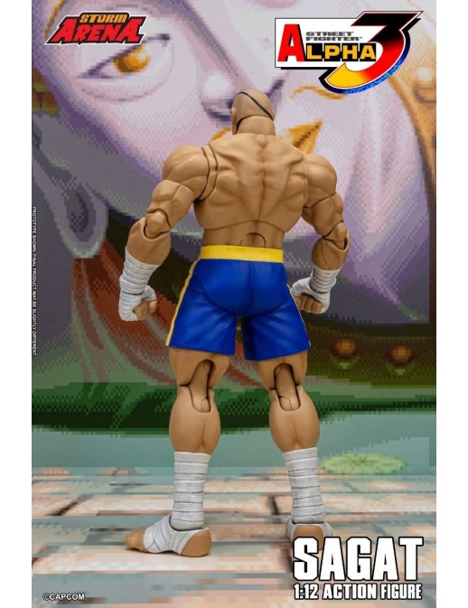 Storm Collectibles Storm Arena Street Fighter Alpha 3 Sagat