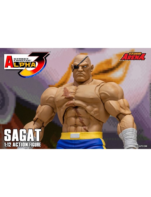 Storm Collectibles Storm Arena Street Fighter Alpha 3 Sagat