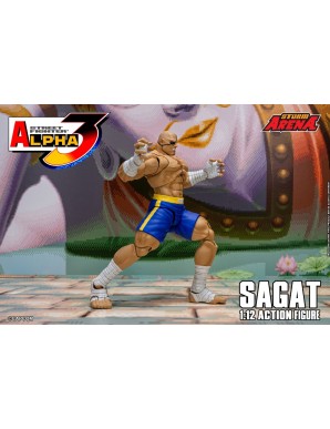 Storm Collectibles Storm Arena Street Fighter Alpha 3 Sagat