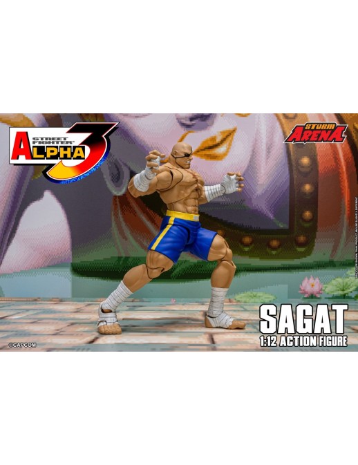 Storm Collectibles Storm Arena Street Fighter Alpha 3 Sagat