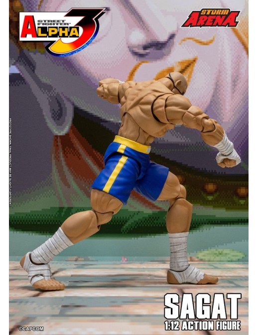 Storm Collectibles Storm Arena Street Fighter Alpha 3 Sagat