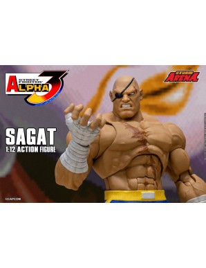Storm Collectibles Storm Arena Street Fighter Alpha 3 Sagat