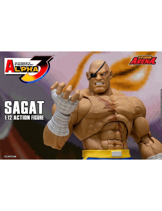Storm Collectibles Storm Arena Street Fighter Alpha 3 Sagat