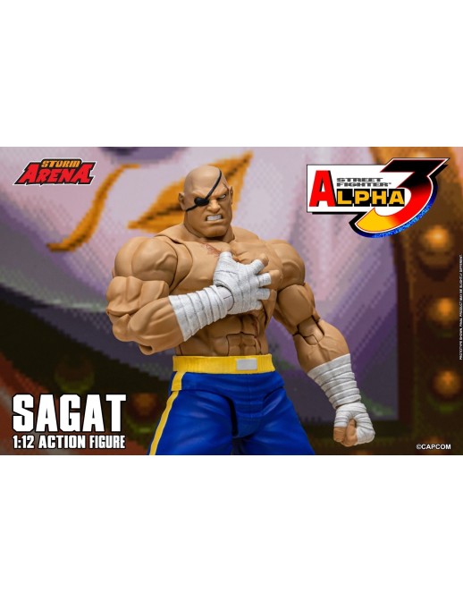 Storm Collectibles Storm Arena Street Fighter Alpha 3 Sagat