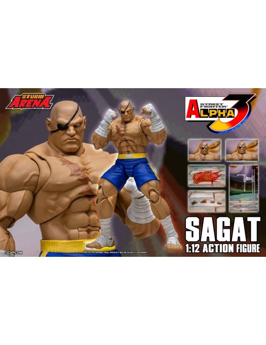 Storm Collectibles Storm Arena Street Fighter Alpha 3 Sagat