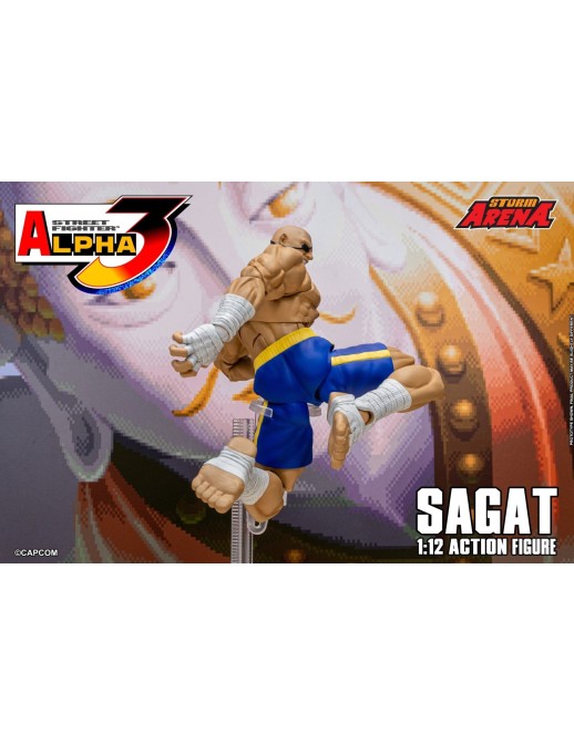 Storm Collectibles Storm Arena Street Fighter Alpha 3 Sagat