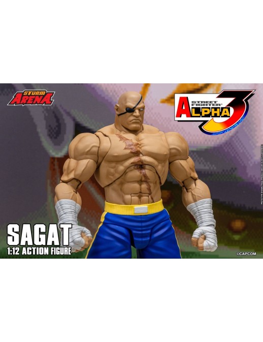 Storm Collectibles Storm Arena Street Fighter Alpha 3 Sagat