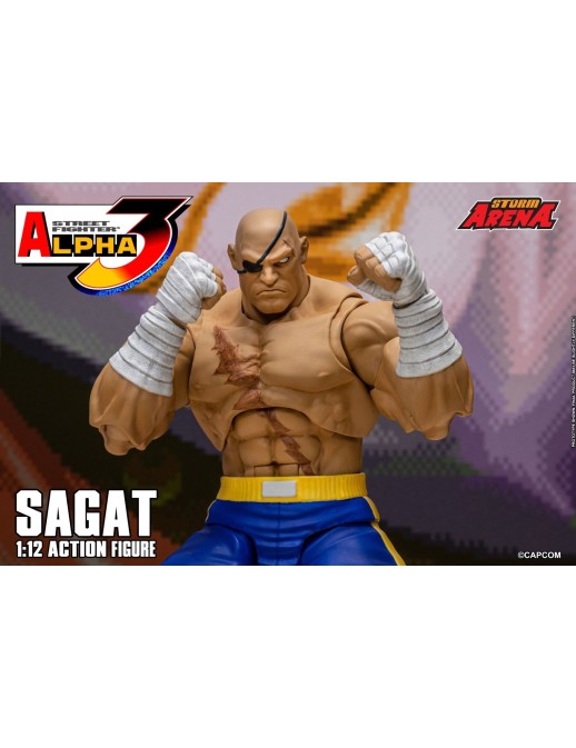 Storm Collectibles Storm Arena Street Fighter Alpha 3 Sagat