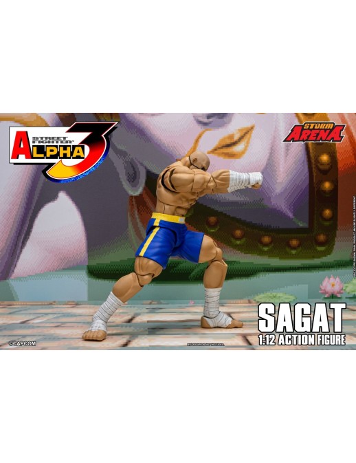 Storm Collectibles Storm Arena Street Fighter Alpha 3 Sagat