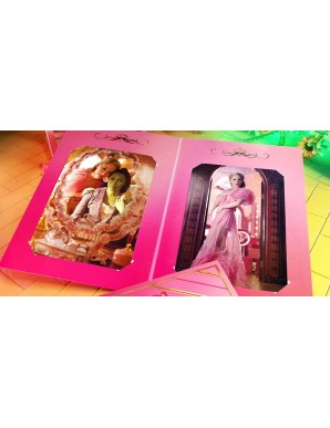 Doctor Collector Wicked The Oz Memories