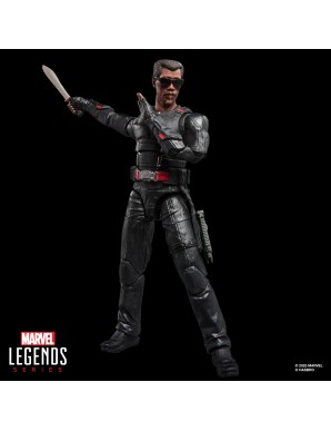 Hasbro Marvel Legends Deadpool & Wolverine Marvel's Blade