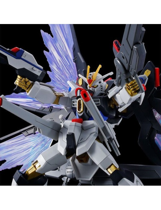 P-Bandai High Grade HG 1/144 Mobile Suit Gundam ZGMF/A-262B Strike Freedom Gundam Type II and Wings Of Light Effect Set