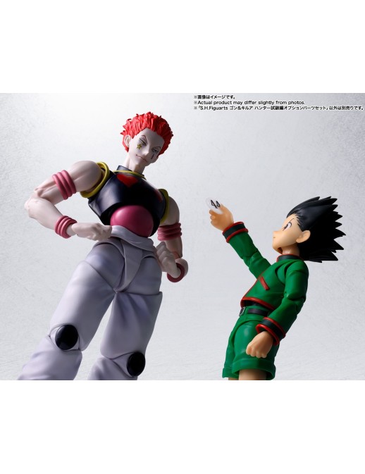 Bandai S.H. Figuarts Hunter X Hunter Gon Freecs & Killua Zoldyck The Hunter Exam Option Parts Set