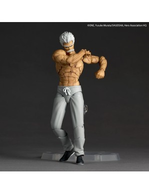 Kaiyodo Amazing Yamaguchi Revoltech One-Punch Man Silver Fang