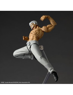 Kaiyodo Amazing Yamaguchi Revoltech One-Punch Man Silver Fang