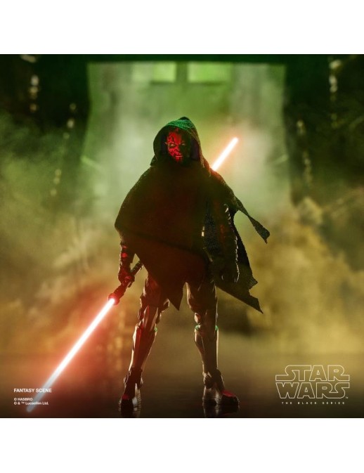 Hasbro Star Wars The Black Series Maul Shadow Lord Maul