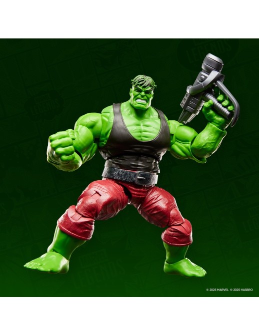Hasbro Marvel Legends The Incredible Hulk Professor Hulk