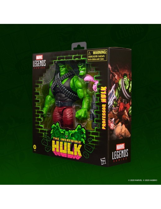 Hasbro Marvel Legends The Incredible Hulk Professor Hulk
