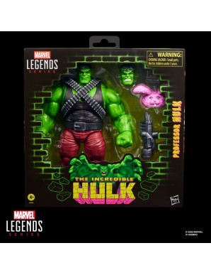 Hasbro Marvel Legends The Incredible Hulk Professor Hulk