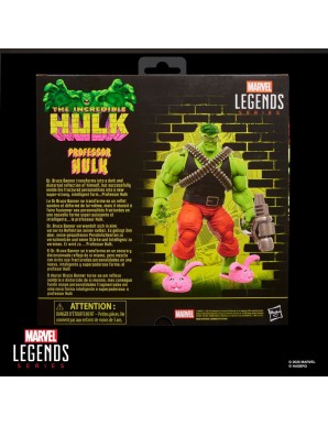 Hasbro Marvel Legends The Incredible Hulk Professor Hulk