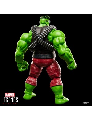 Hasbro Marvel Legends The Incredible Hulk Professor Hulk