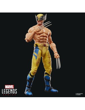 Hasbro Marvel Legends Deadpool & Wolverine Wolverine