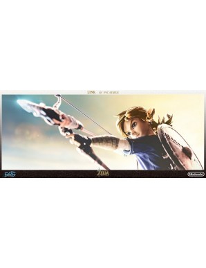 First 4 Figures The Legend of Zelda Breath of the Wild Link