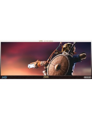 First 4 Figures The Legend of Zelda Breath of the Wild Link