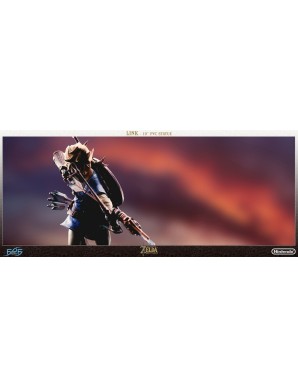 First 4 Figures The Legend of Zelda Breath of the Wild Link