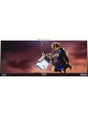 First 4 Figures The Legend of Zelda Breath of the Wild Link