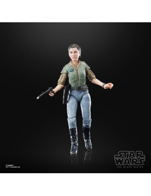 Hasbro Star Wars The Black Series Princess Leia Endor
